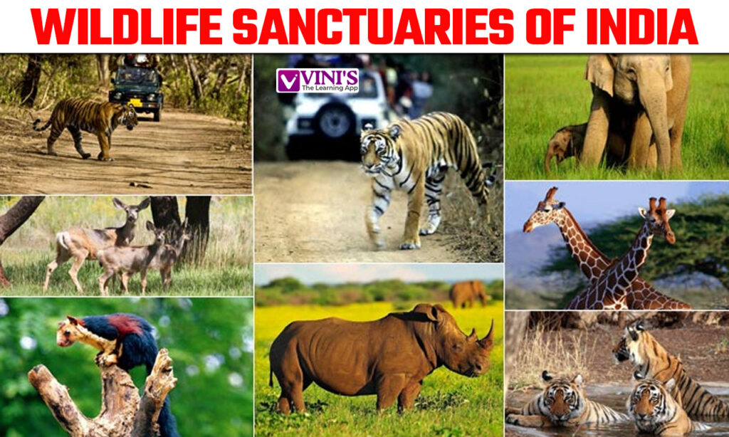 wildlife sanctuaries of india